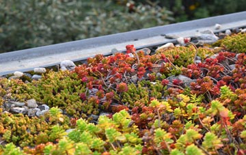the cost of Lisbellaw green roof installation