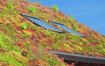 Lisbellaw living roof systems